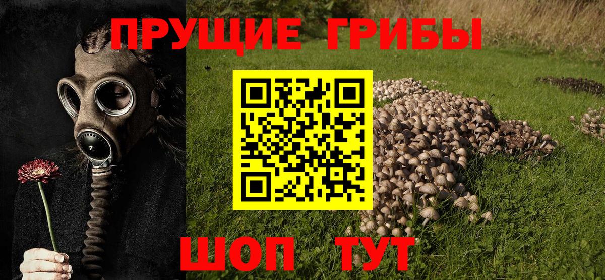 Псилоцибиновые грибы прущие грибы Саянск