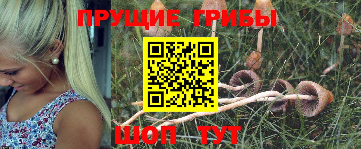 Галлюциногенные грибы прущие грибы  Псилоцибиновые грибы Psilocybine cubensis  Вход с VPN  Саянск 